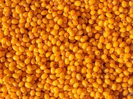 Sea Buckthorn Oil